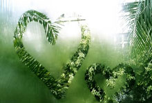 足球直播吧-黄蜂完胜雄鹿B队，加里纳利送出助攻，比赛背后隐藏的精彩故事