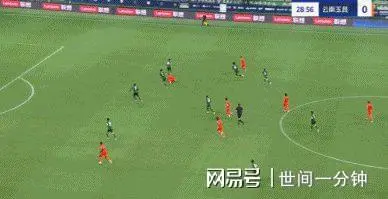 河北队击败对手，登顶胜利宝座