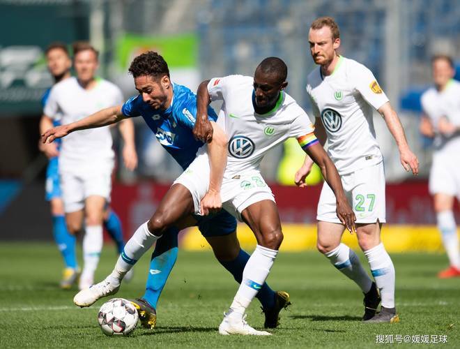 沃尔夫斯堡主场苦战取胜，顽强斗志的简单介绍